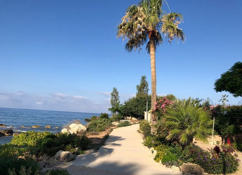 Villa in Paphos, Cyprus, 190 m² - picture 16