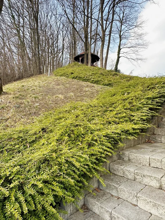 Haus in Rogaška Slatina, Slowenien, 350 m² - Foto 7