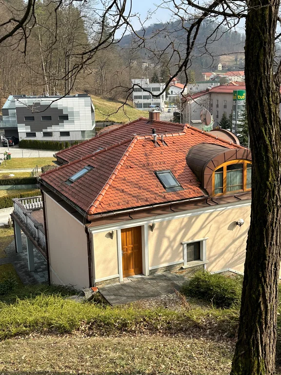 Haus in Rogaška Slatina, Slowenien, 350 m² - Foto 9