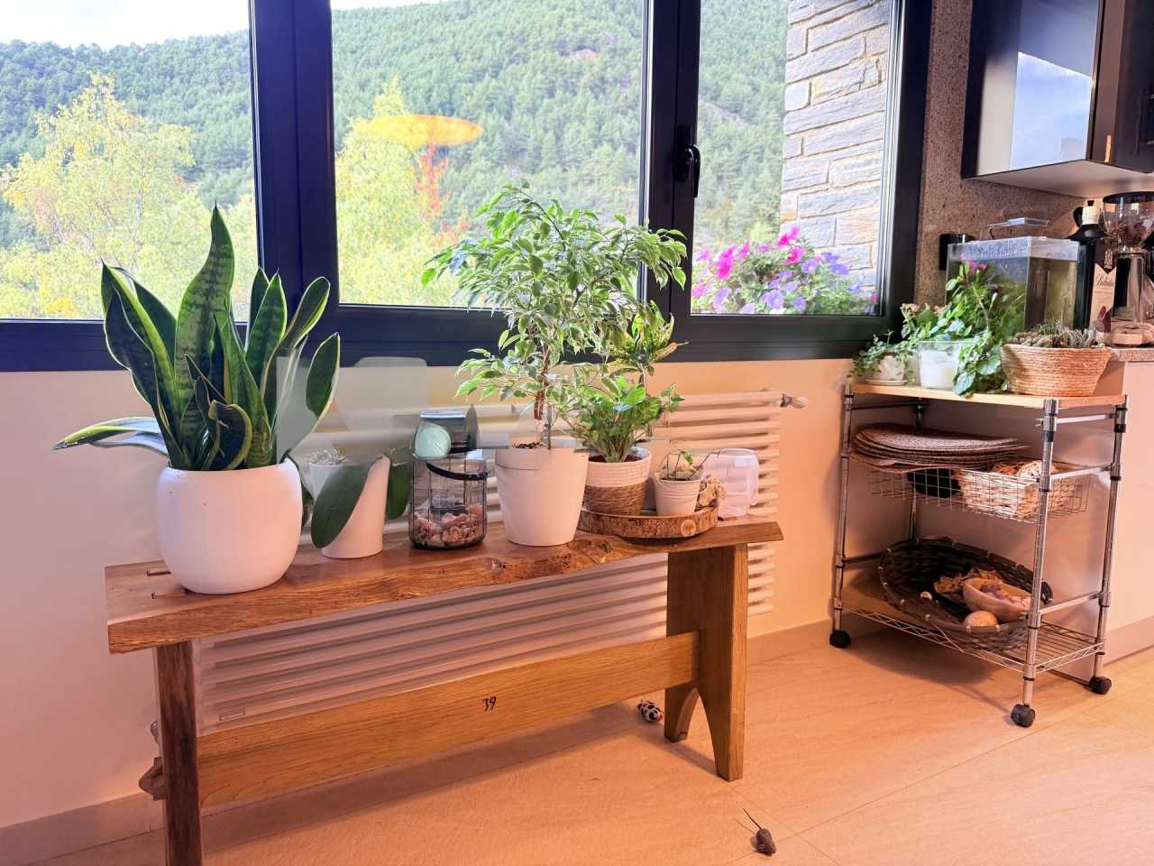 Wohnung in Agnos, Andorra, 503 m² - Foto 13