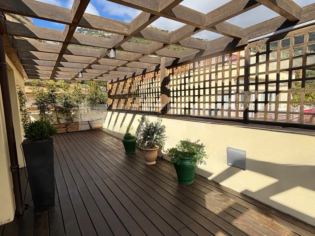 Flat in Les Moneghetti, Monaco, 250 m² - picture 13