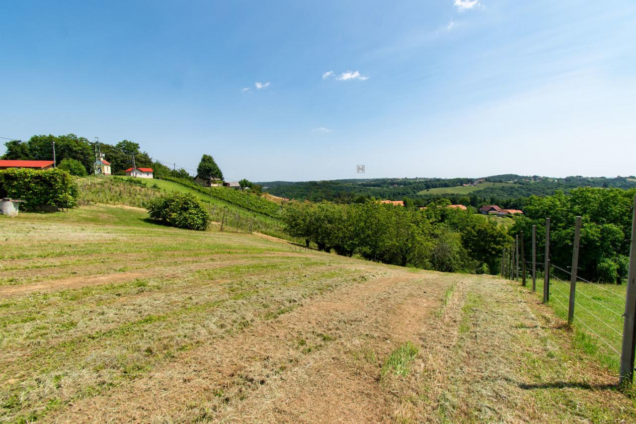 House in Ptuj, Slovenia, 58 m² - picture 8