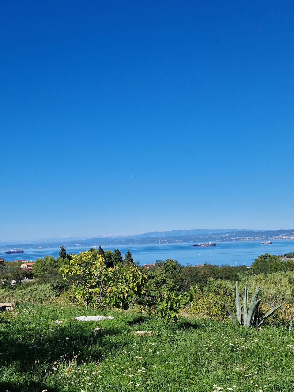 House in Izola, Slovenia, 60 m² - picture 13