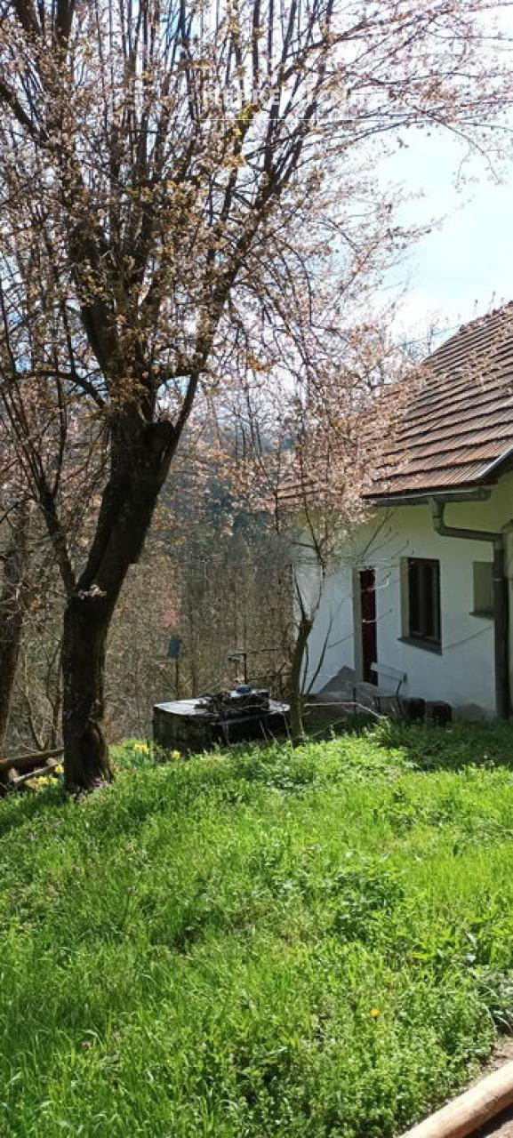 Haus in Laško, Slowenien, 66 m² - Foto 2