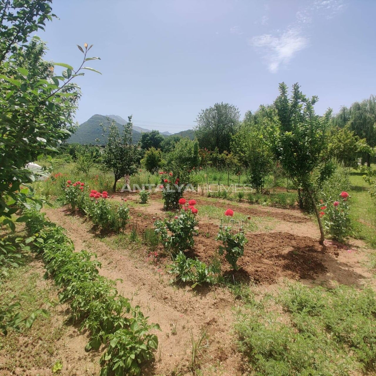 Appartamenti a Fethiye, Turchia, 274 m² - foto 13