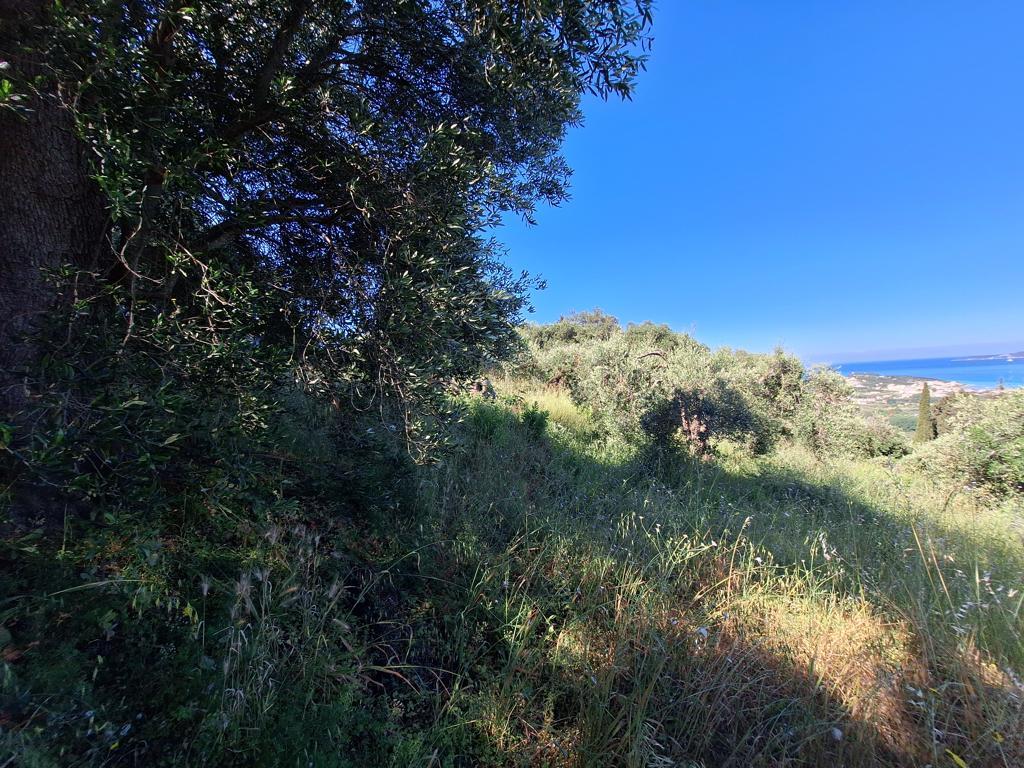 Terrain sur les Îles Ioniennes, Grèce, 7 600 m² - image 3