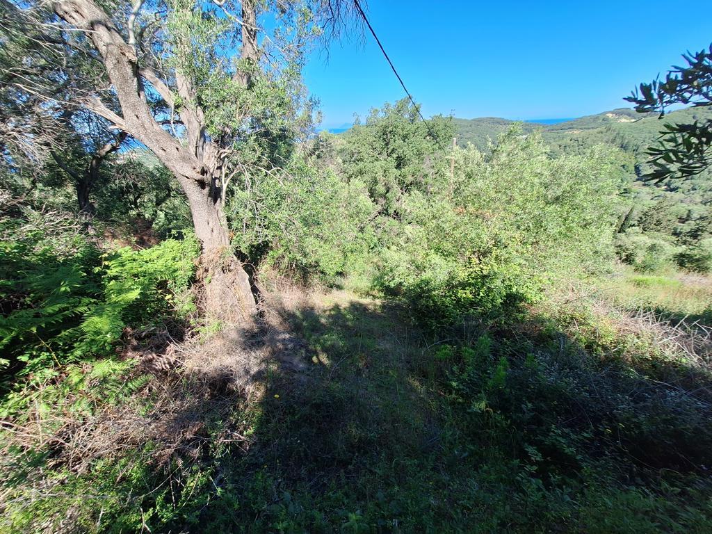 Terrain sur les Îles Ioniennes, Grèce, 7 600 m² - image 6