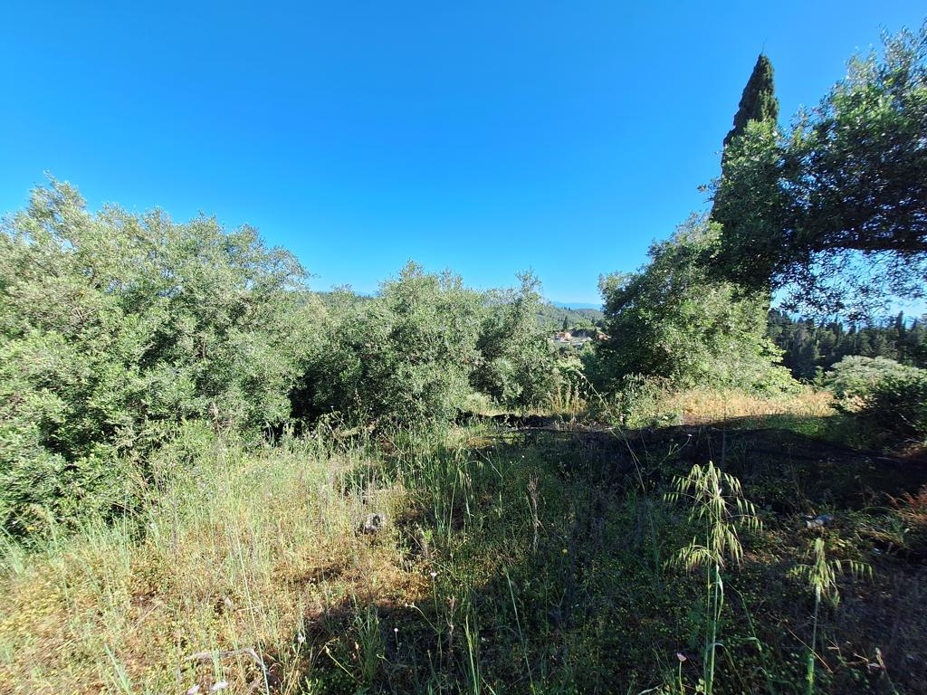 Terrain sur les Îles Ioniennes, Grèce, 7 600 m² - image 7