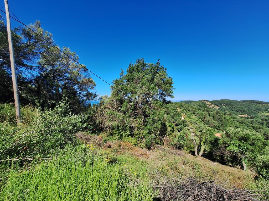 Terrain sur les Îles Ioniennes, Grèce, 7 600 m² - image 8