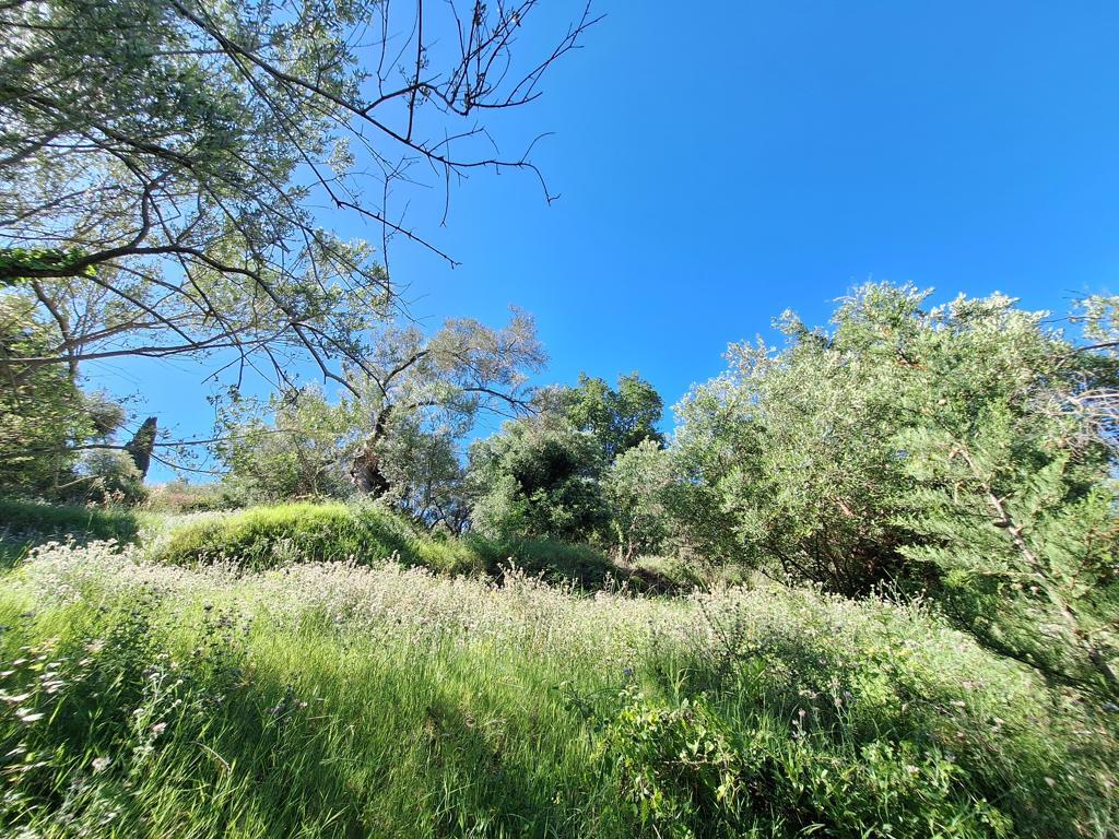 Terrain sur les Îles Ioniennes, Grèce, 7 600 m² - image 17