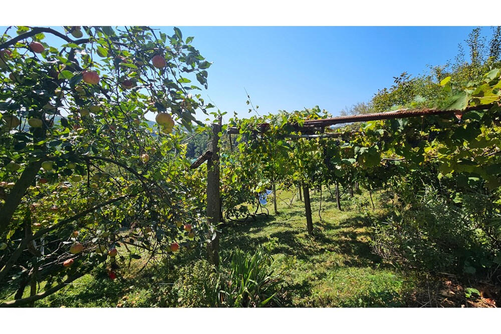 House in Ljutomer, Slovenia, 130 m² - picture 4