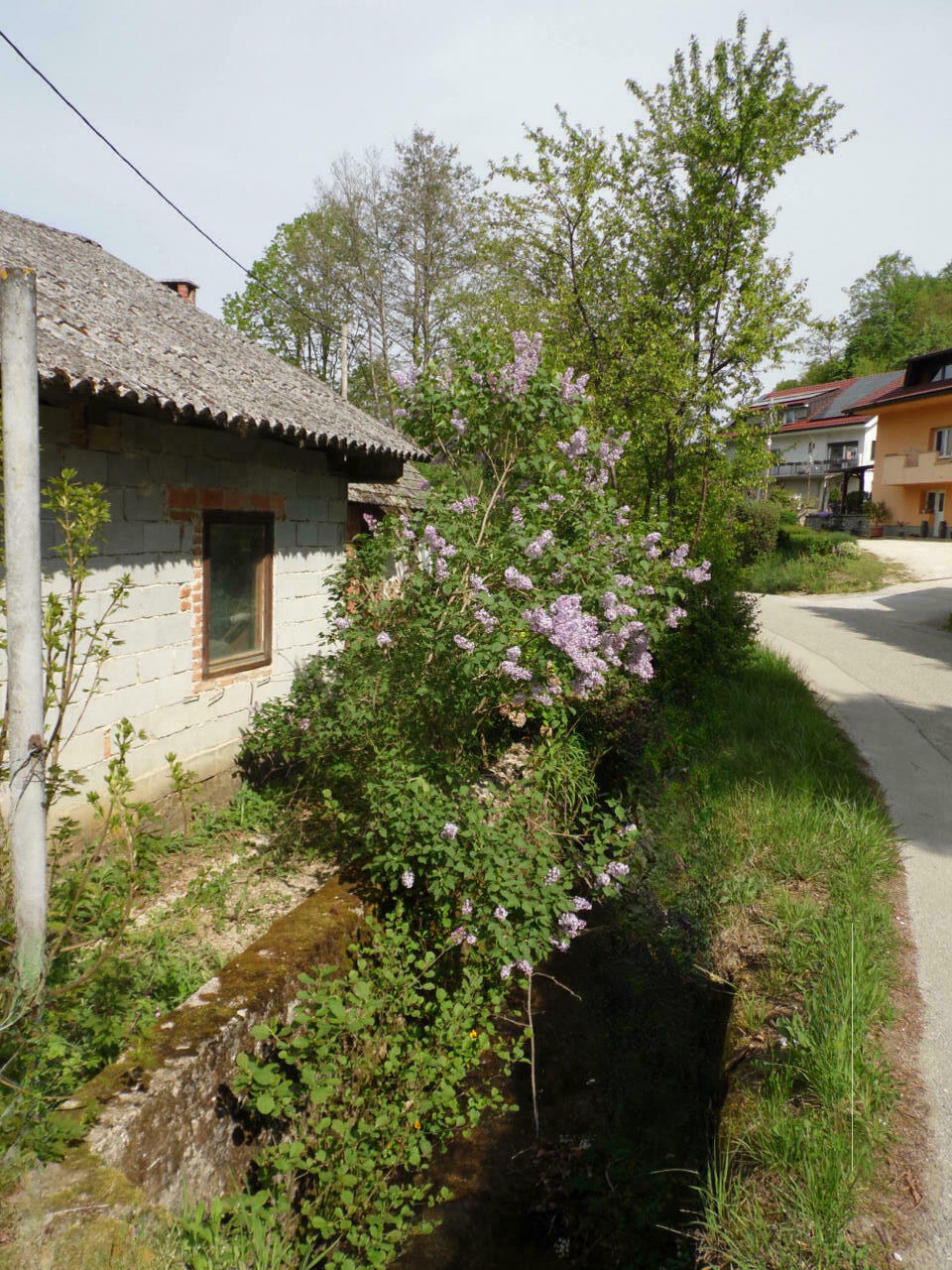 Casa en Novo Mesto, Eslovenia, 55 m² - imagen 5
