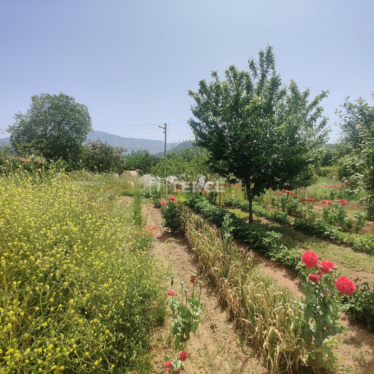 Appartamenti a Fethiye, Turchia, 274 m² - foto 10