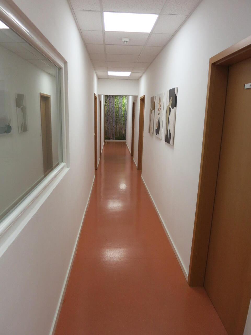 Oficina en Liubliana, Eslovenia, 500 m² - imagen 8