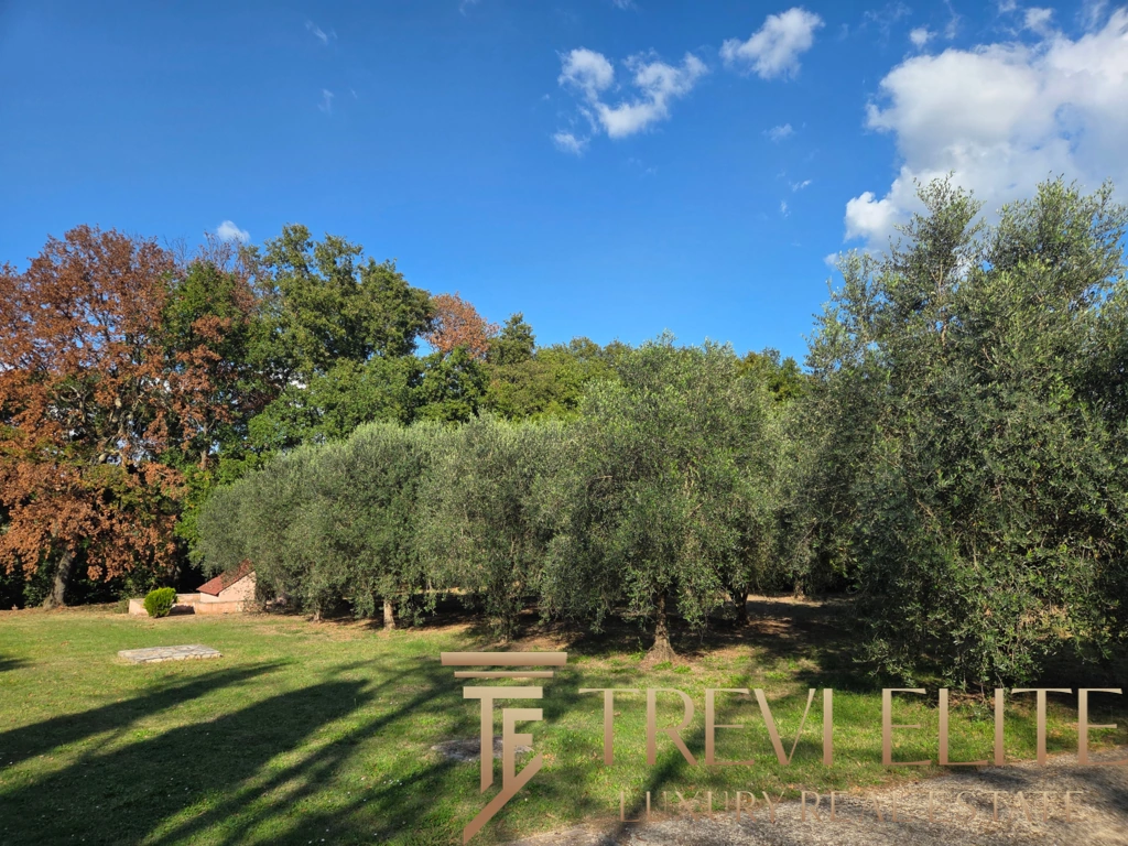 Villa in Rome, Italy, 700 m² - picture 8