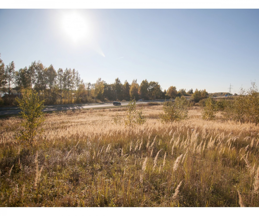 Land in Riga District, Latvia, 140 000 m² - picture 1