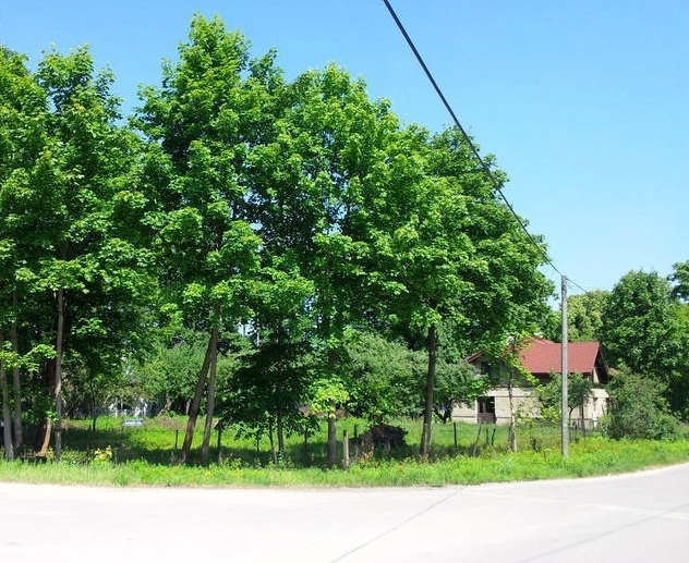Investment project in Riga, Latvia, 250 m² - picture 1