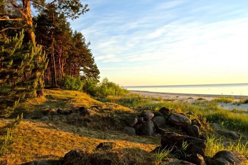 Land Pavila, Latvia, 3 080 ares - picture 3