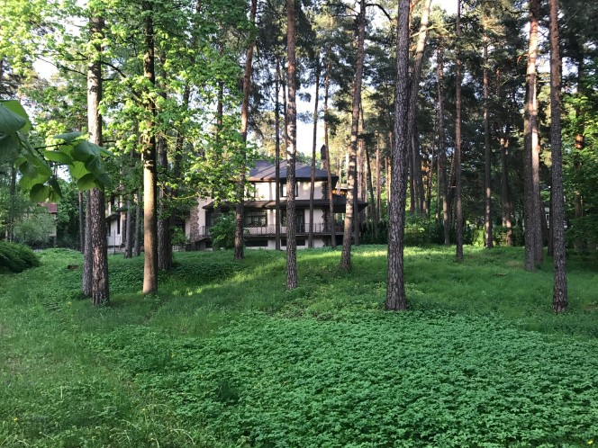 Land in Riga, Latvia, 2 193 ares - picture 4