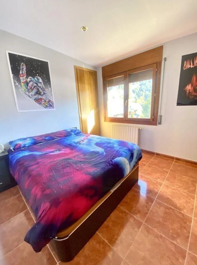 Appartement à La Massana, Andorre, 270 m² - image 13