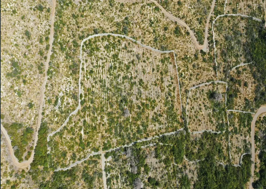 Terrain sur la Luštica, Monténégro, 3 757 m² - image 6