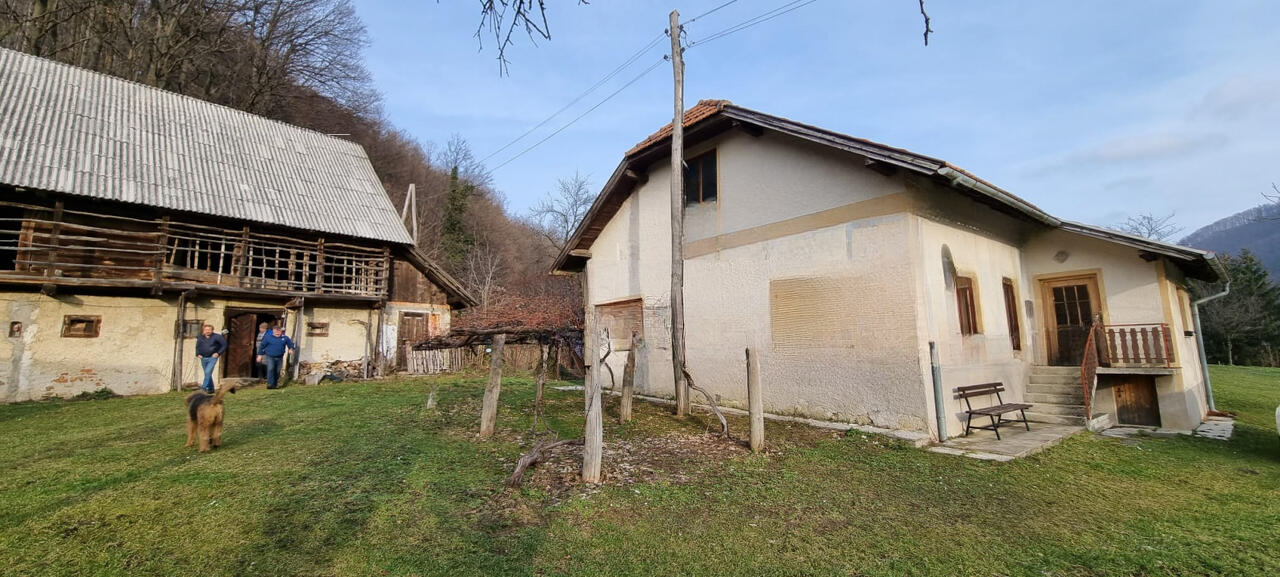 Farm in Ptuj, Slovenia, 210 000 m² - picture 2