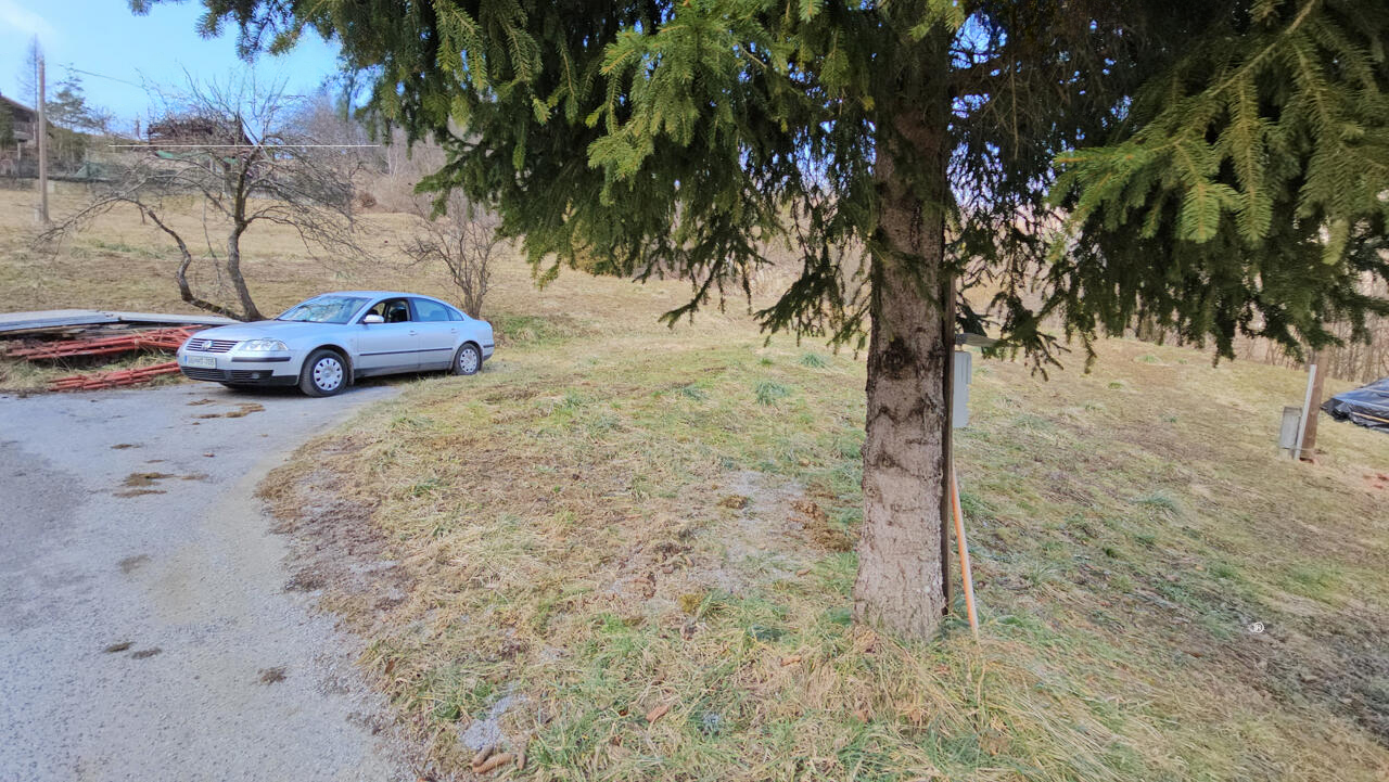 Farm in Lasko, Slovenia, 27 245 m² - picture 6