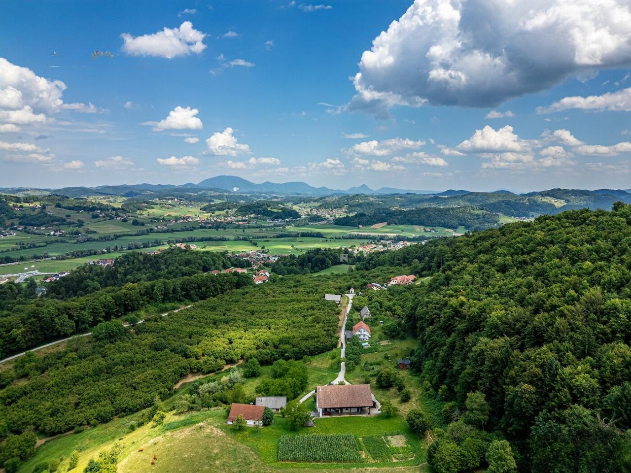 Farm in Sentjur, Slovenia, 600 m² - picture 14