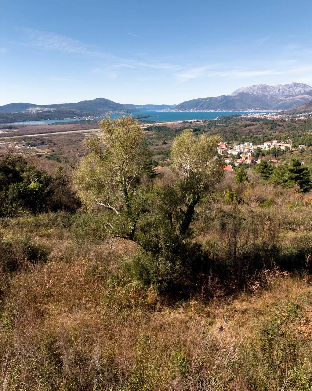 Grundstück in Kotor, Montenegro, 5 520 m² - Foto 13