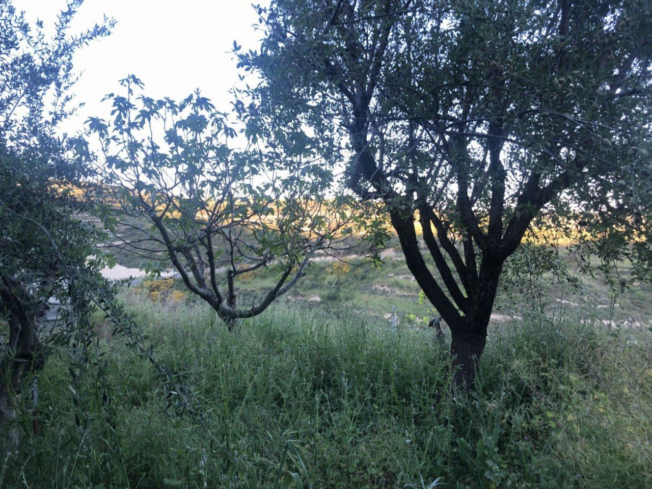 Casa a Vouni, Cipro, 150 m² - foto 10