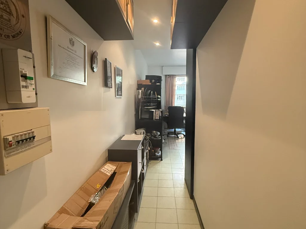 Wohnung in Saint-Roman, Monaco, 30 m² - Foto 4