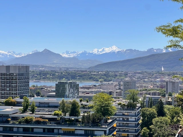 Flat in Geneva, Switzerland - picture 2