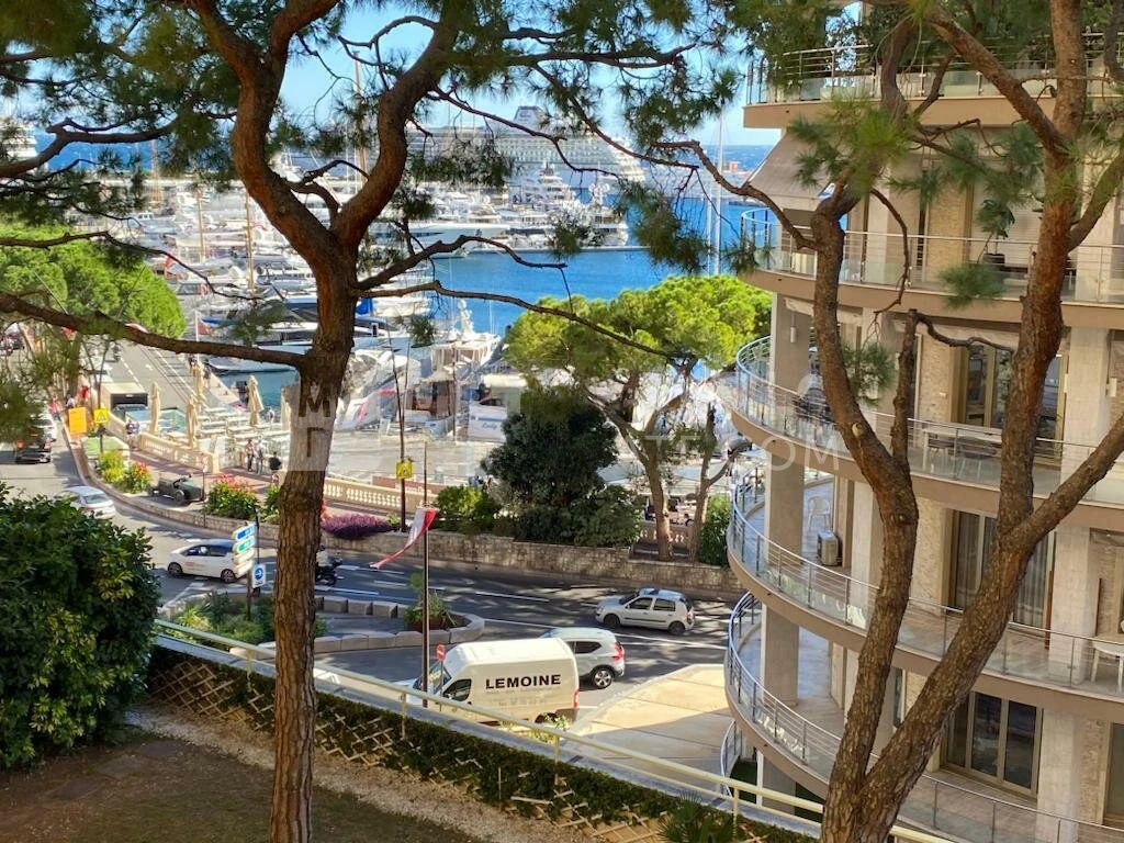 Flat in Monaco, Monaco, 142 m² - picture 1