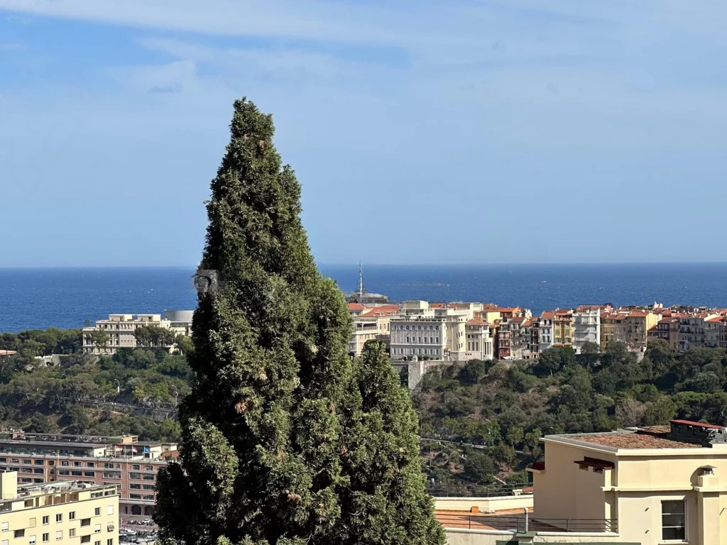 Appartamento a Moneghetti, Monaco, 79 m² - foto 13