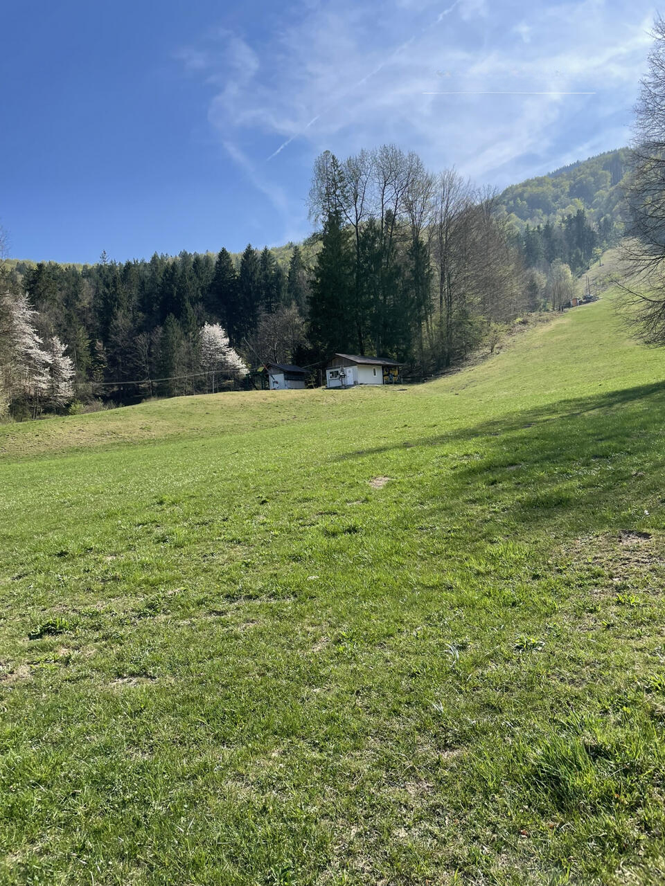 Land in Sezana, Slovenia, 3 901 m² - picture 2
