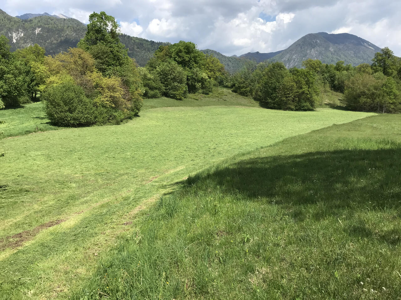 Terreno a Kranj, Slovenia, 13 325 m2 - foto 3