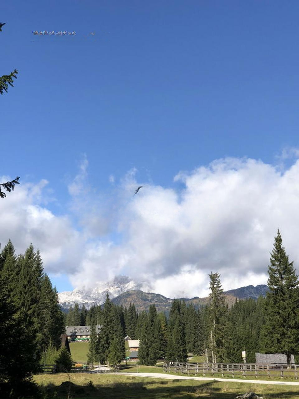 Grundstück in Pokljuka, Slowenien, 2 944 m² - Foto 7