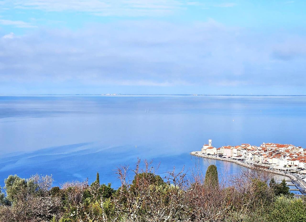 Haus in Piran, Slowenien, 122 m² - Foto 1