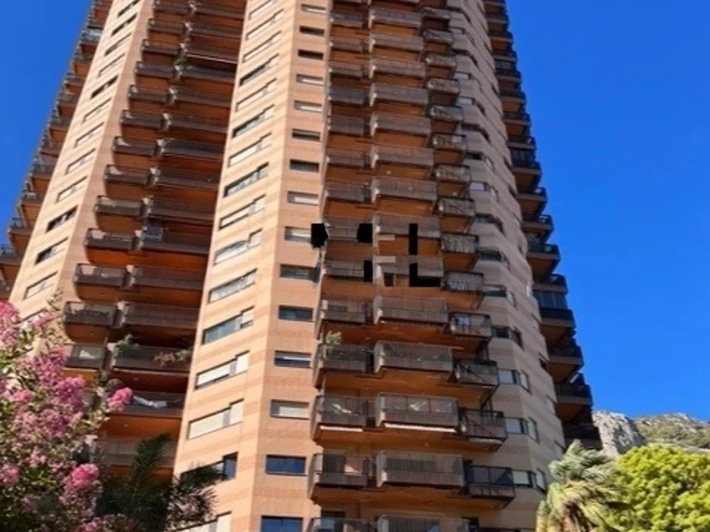Appartamento a Saint-Roman, Monaco, 167 m² - foto 2