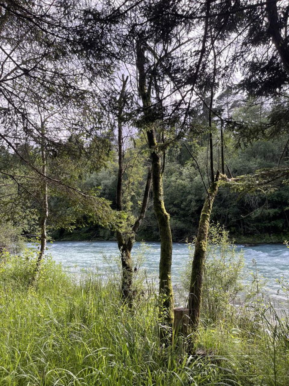 Terreno en Žirovnica, Eslovenia, 26 012 m² - imagen 2