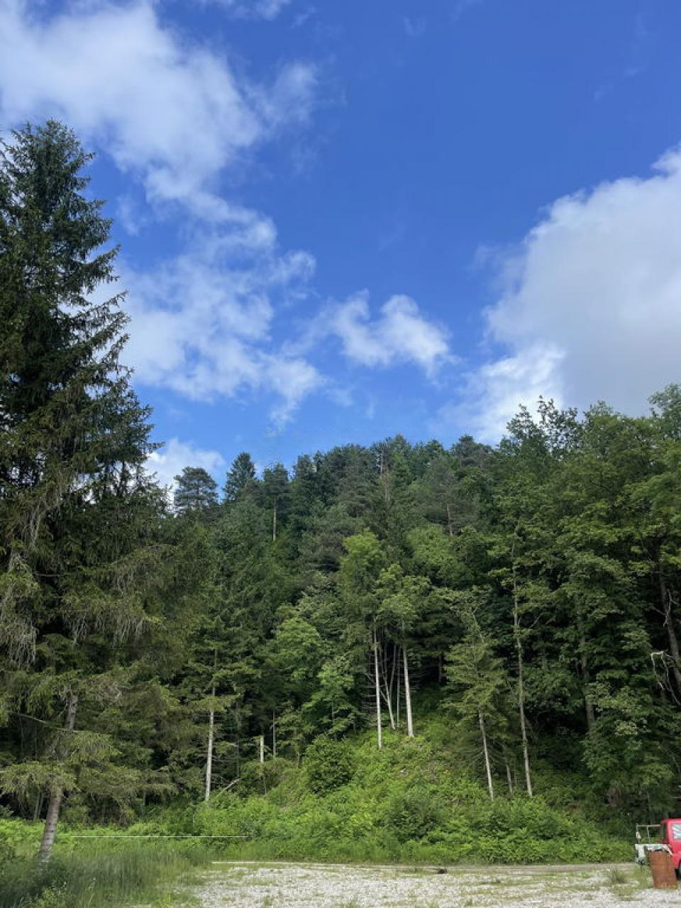 Terreno en Žirovnica, Eslovenia, 26 012 m² - imagen 4