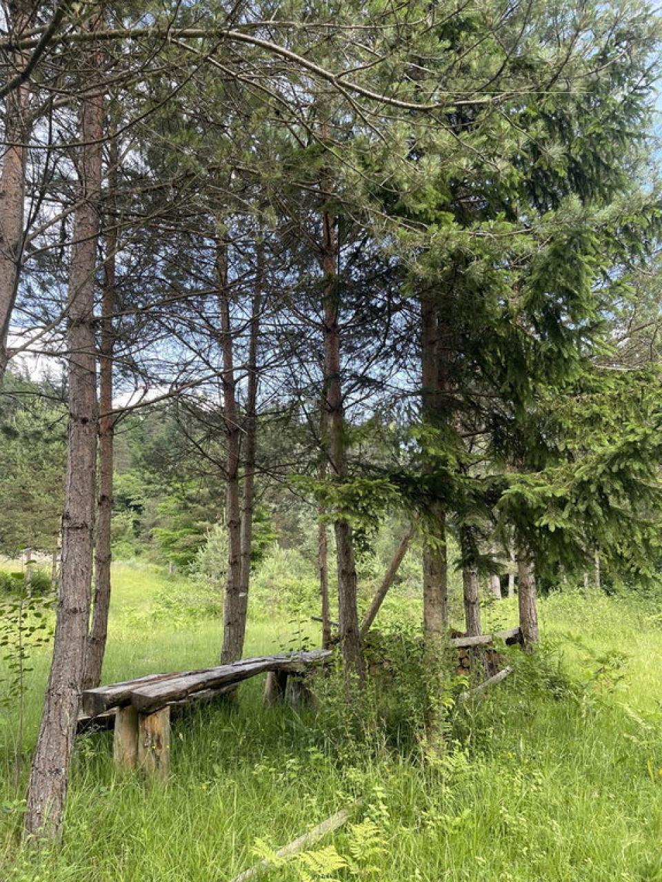 Grundstück in Ajdovščina, Slowenien, 26 012 m² - Foto 8