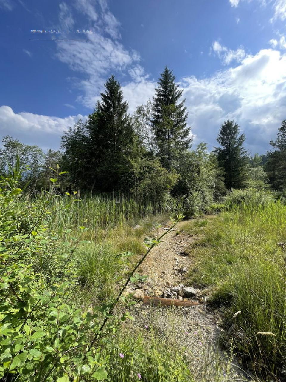 Grundstück in Ajdovščina, Slowenien, 26 012 m² - Foto 9