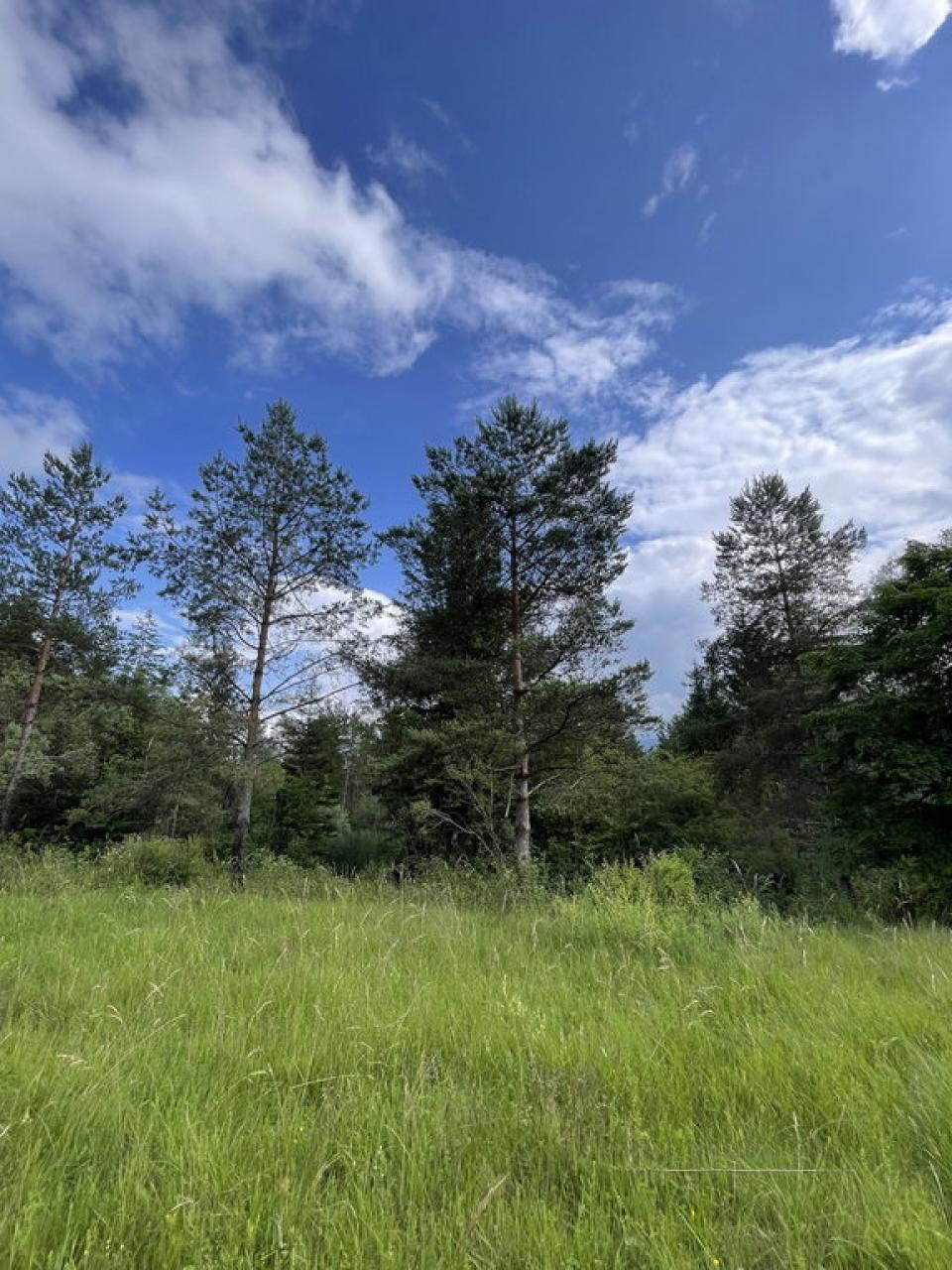 Grundstück in Ajdovščina, Slowenien, 26 012 m² - Foto 11