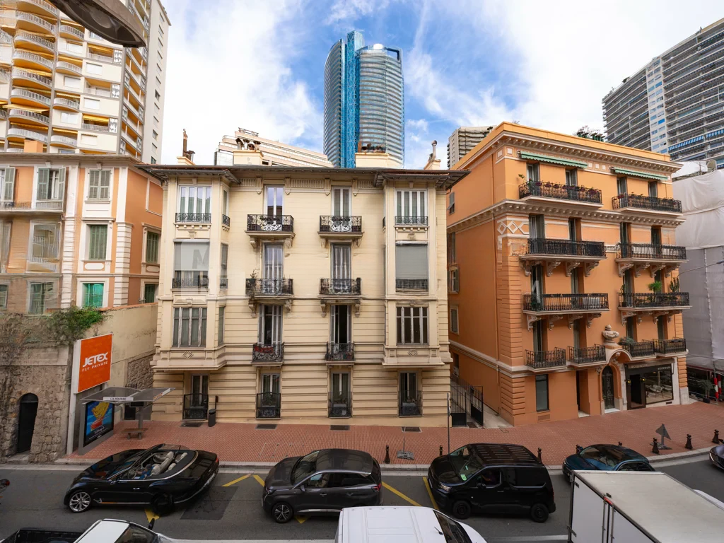 Appartamento a Saint-Roman, Monaco, 89 m² - foto 12