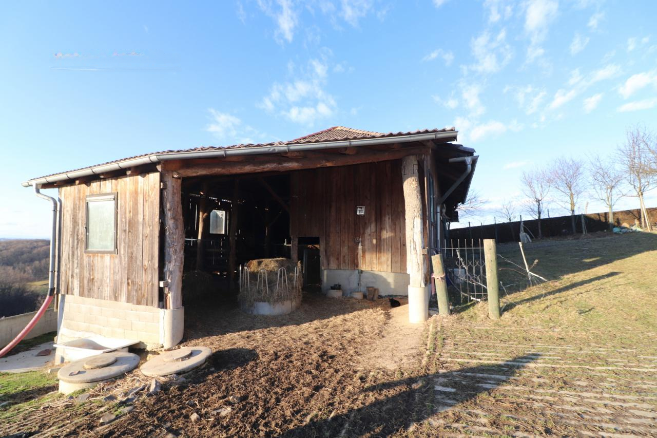 House in Gornja Radgona, Slovenia, 50 m² - picture 16