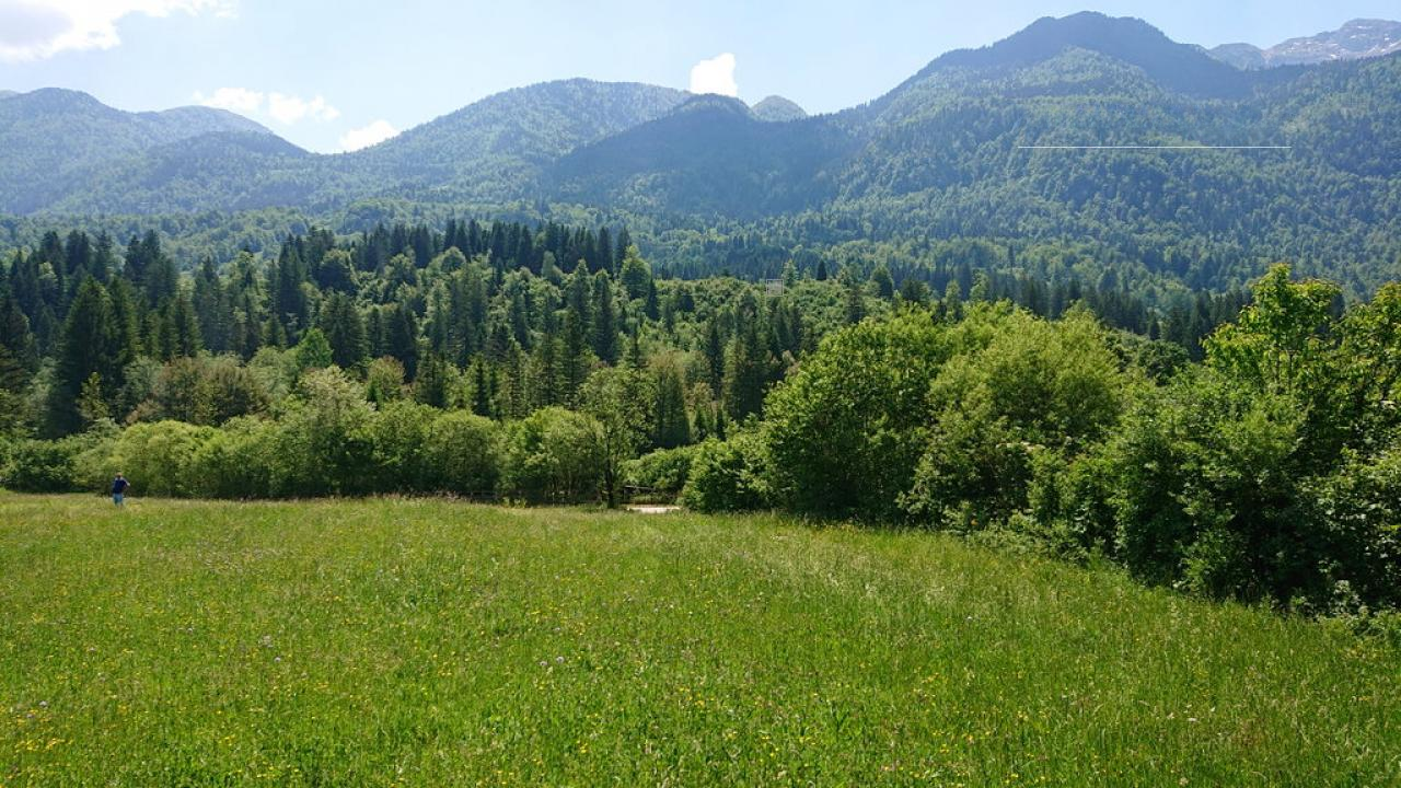 Land in Bohinj, Slovenia, 8 876 m² - picture 10