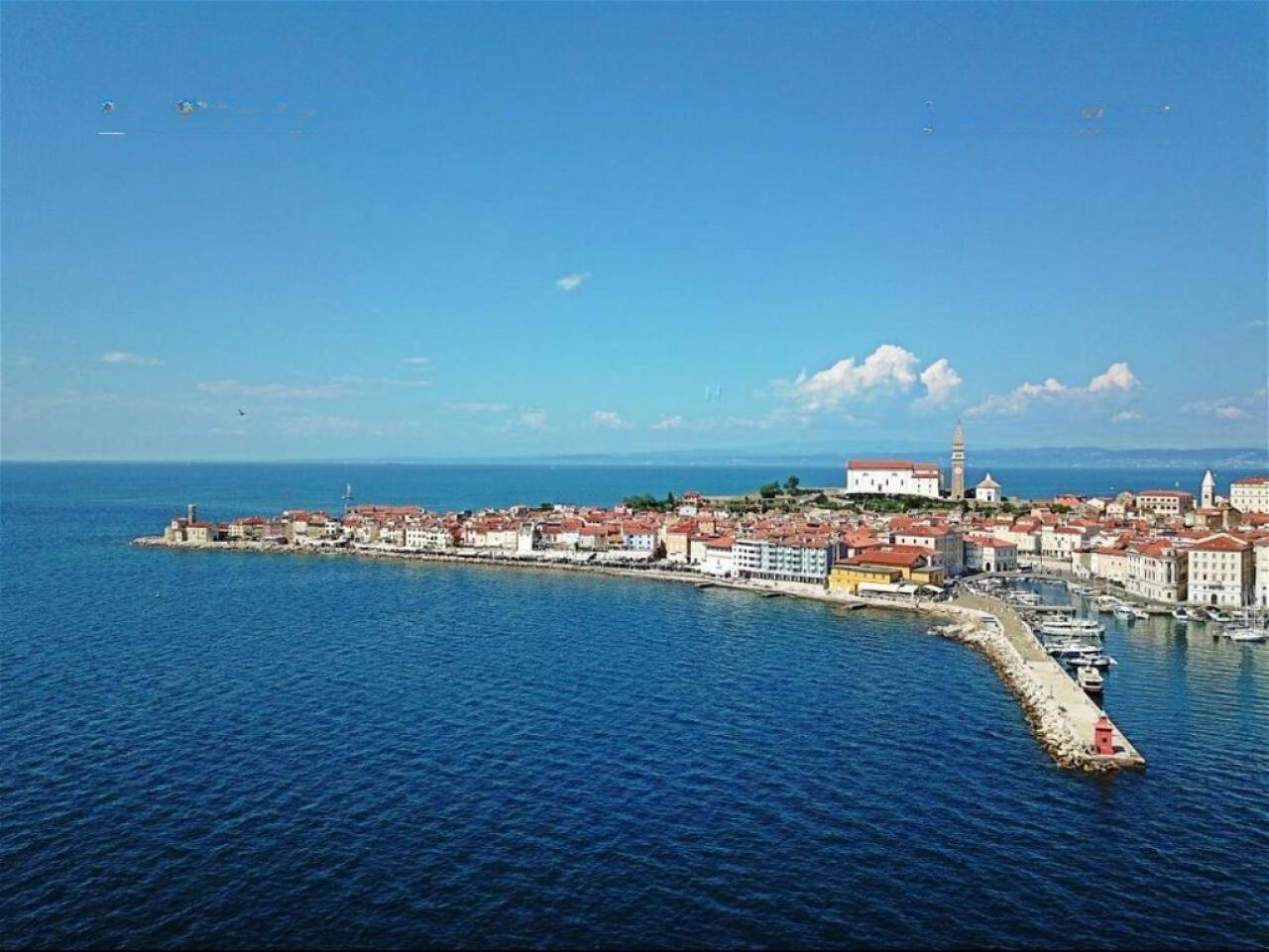 Haus in Piran, Slowenien, 335 m² - Foto 12