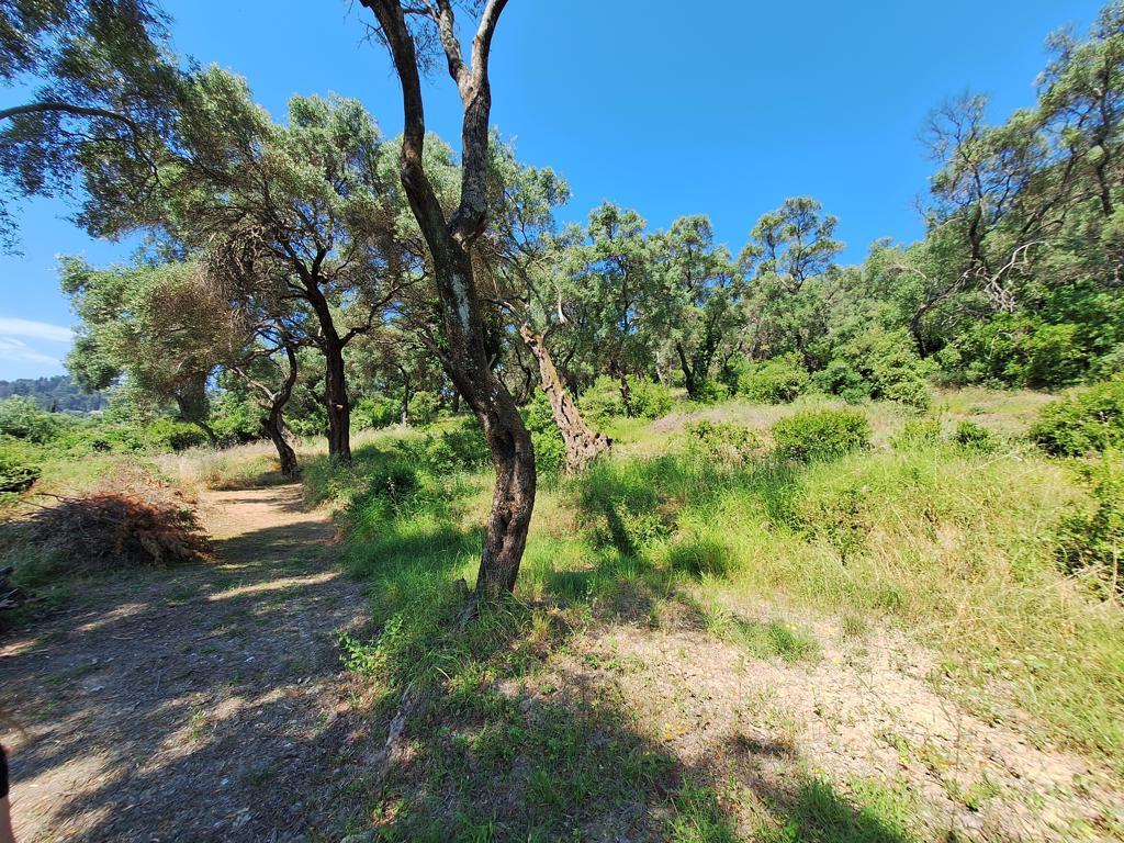 Terreno en Corfú, Grecia, 2 674 m² - imagen 4