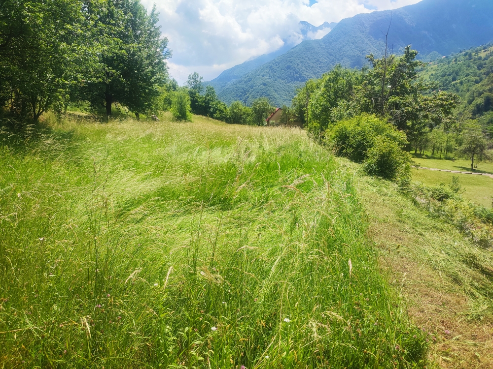 Land in Kolasin, Montenegro, 23 655 m² - picture 13